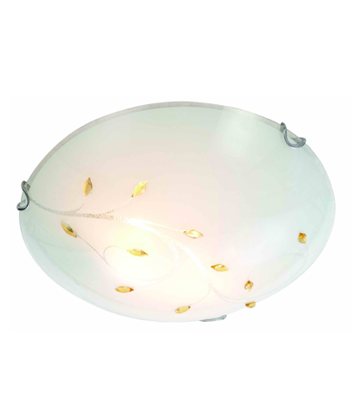 Cieling lights