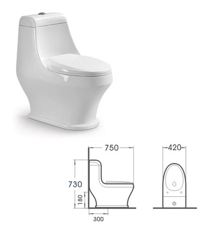Bathroom Toilets